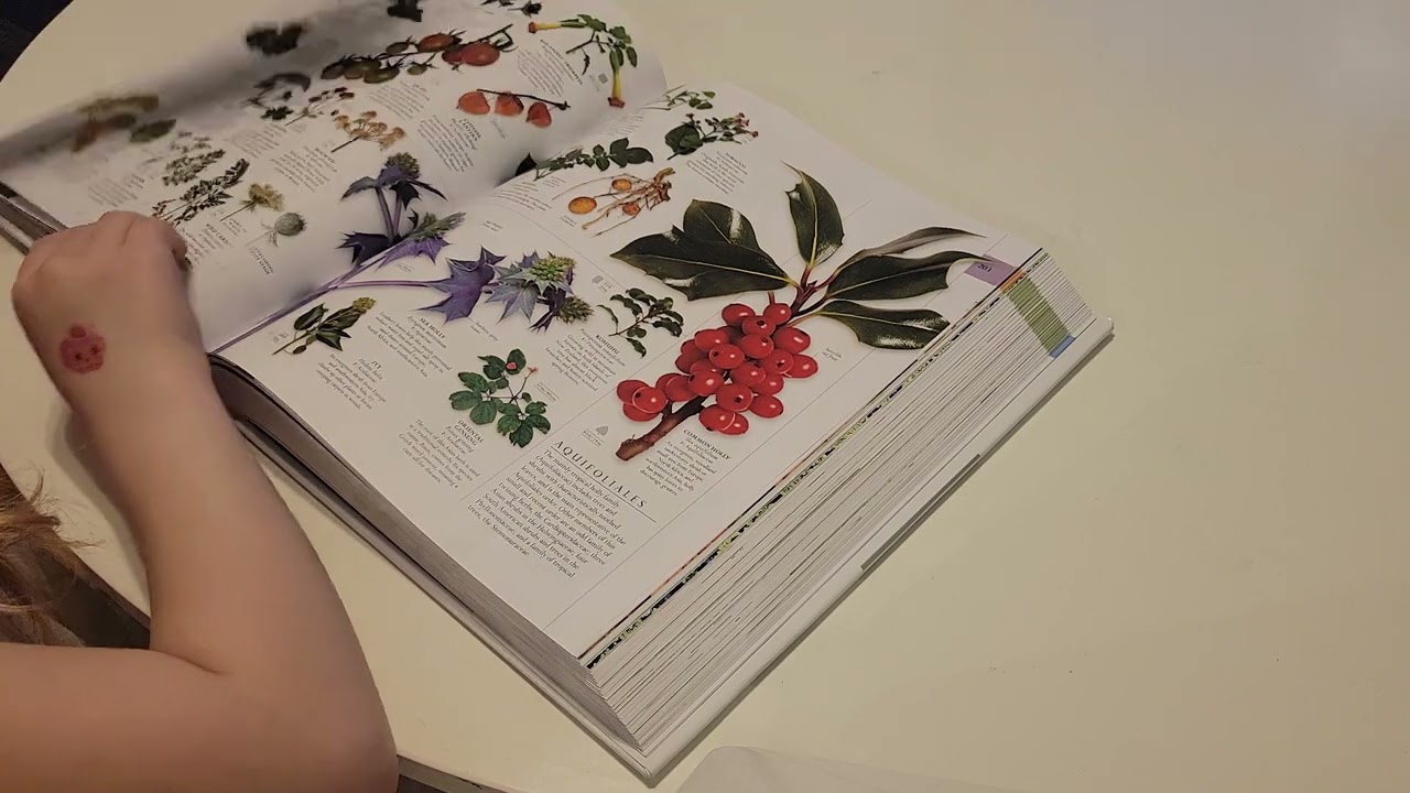 ASMR Page Turning - No Talking - Glossy Pages - Natural History Book - Flipping Pages