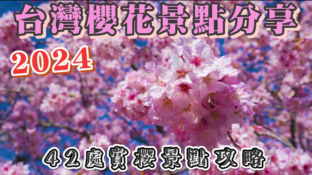 2024 台灣櫻花景點分享 I 42個賞櫻景點大公開 I 分享各景點的櫻花綻放的時刻表 I 最美麗的春天季節來臨 準備好去賞櫻了~!