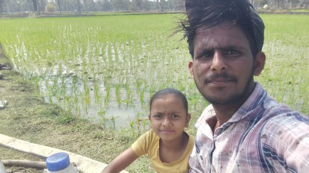 आपला रोहन चा काम सुरूच आहे रब्बी