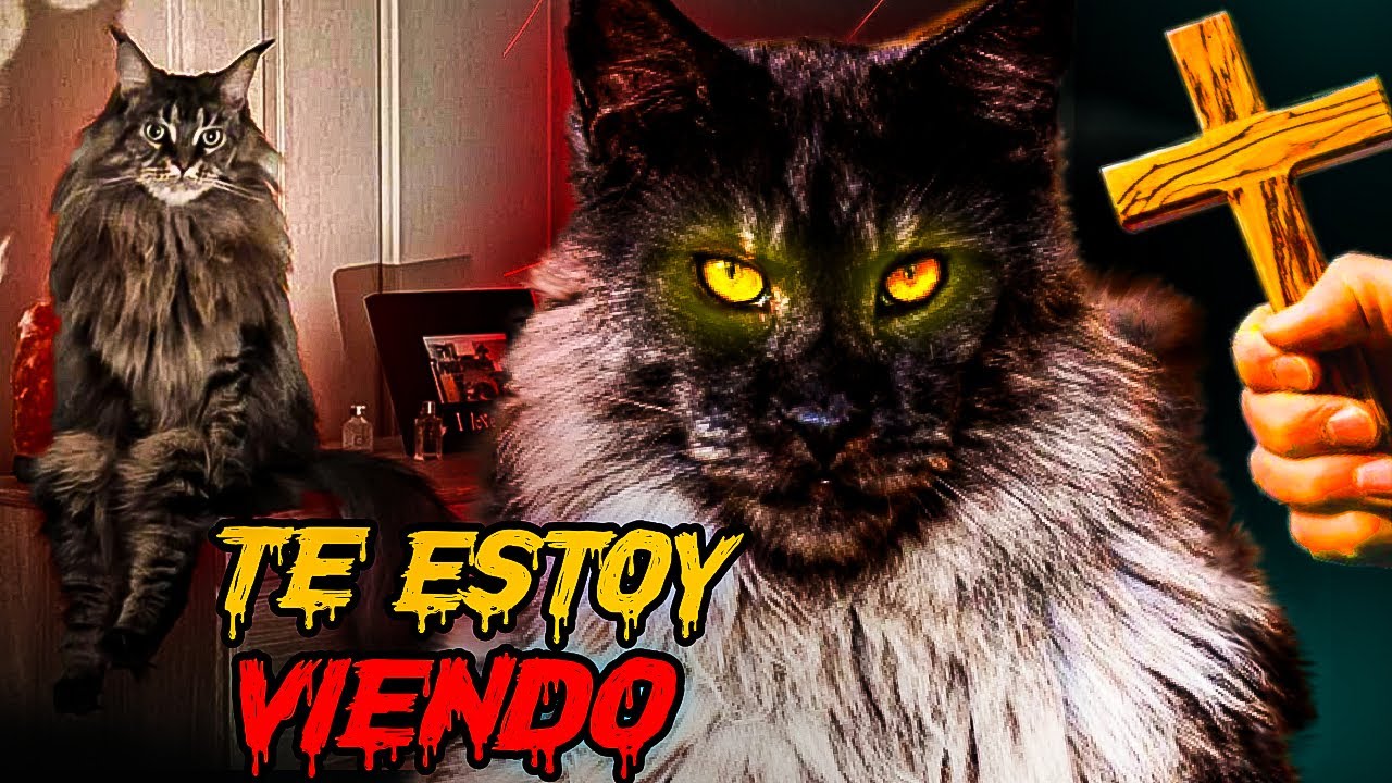😱NUNCA GRABES a tu GATA en la OSCURIDAD.. ESCÓNDETE! ESA COSA NO ES MI GATO🔪🧠NO DUERMAS JUNTO NAHUAL