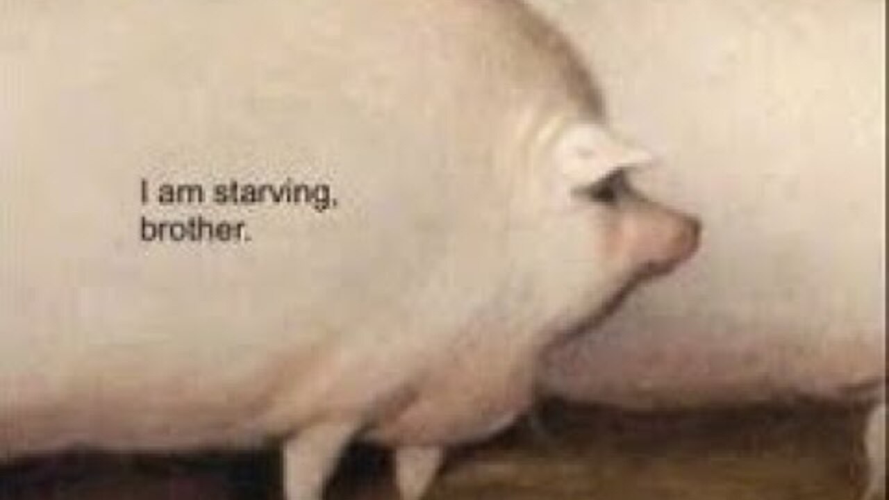 friendslop straight from the trough
