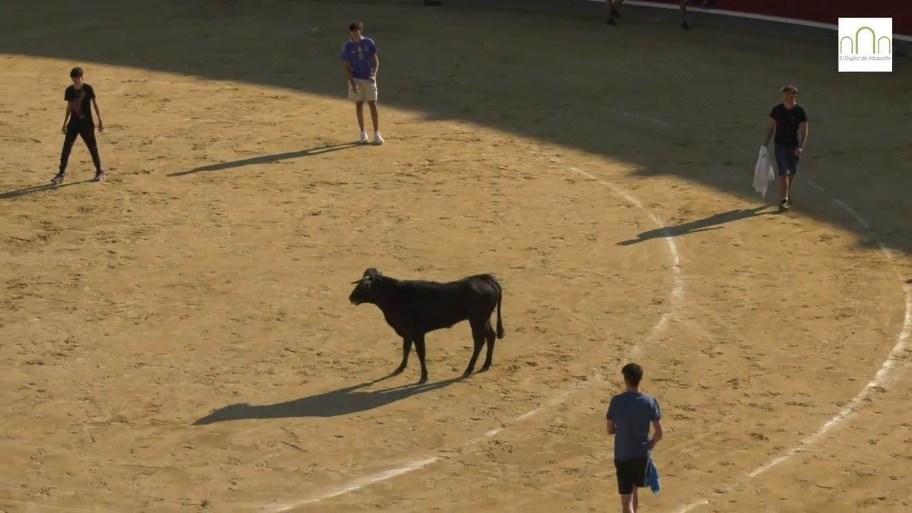 Vaquillas Feria de Albacete 2024, 17 de septiembre