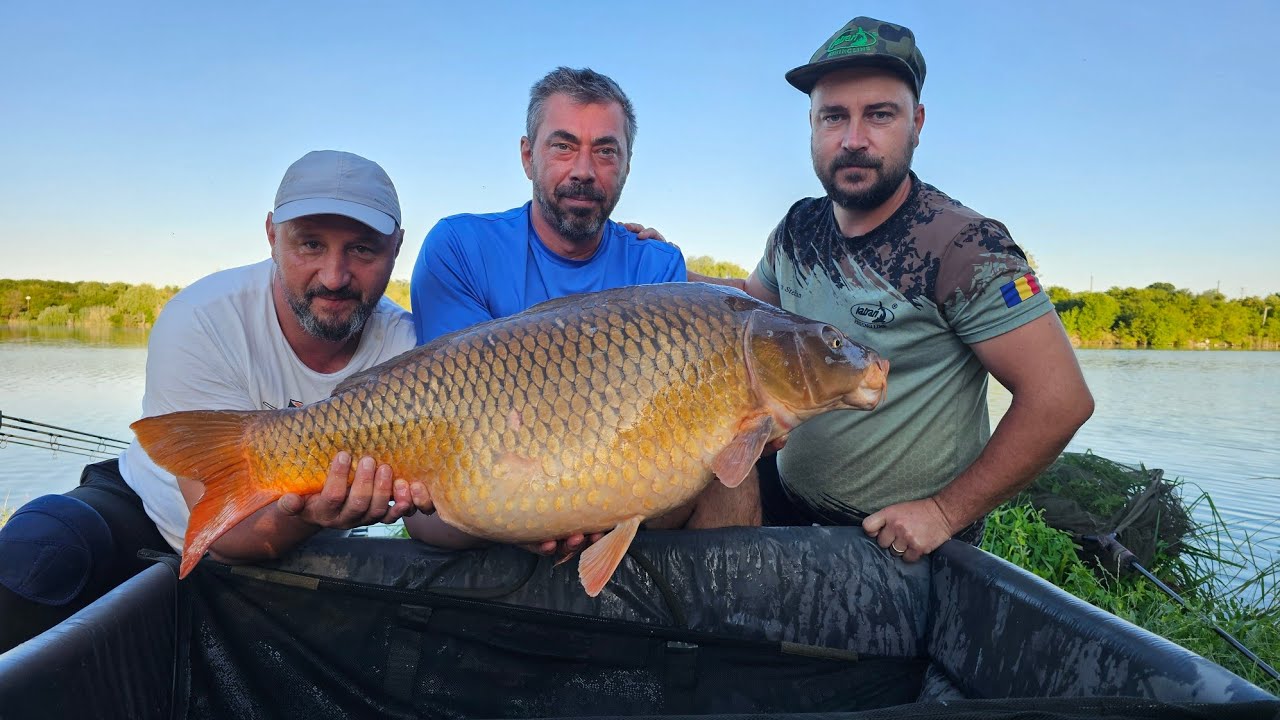 Lacul Hermes Periș - pescuit la crap 48 ore - concurs stand 7 #bucovina #pescuitlacrap #peris