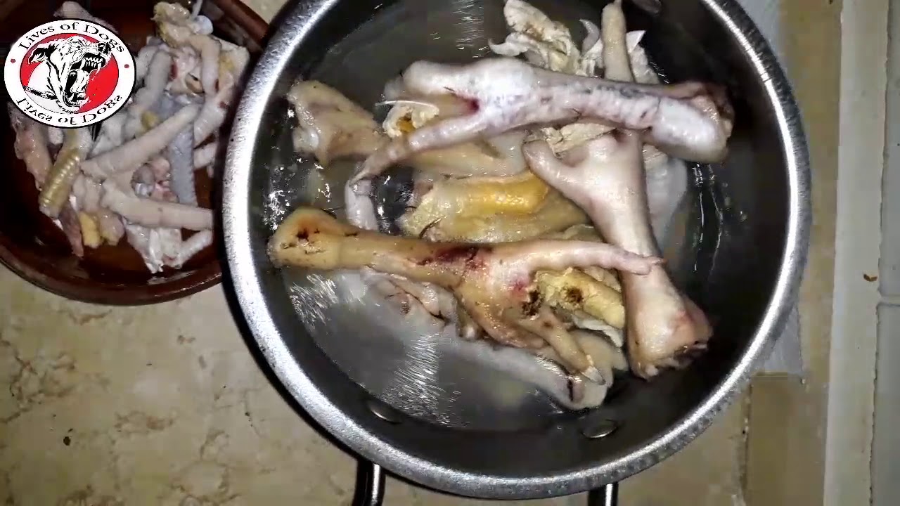 تغذية الجراوي .. وجبة رجول رخيصة الثمن