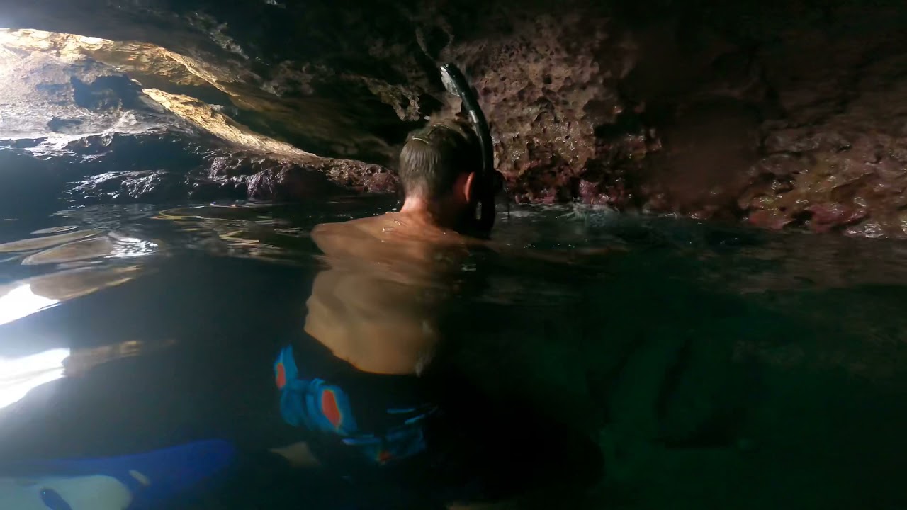Blue Room SHARKS COVE OAHU
