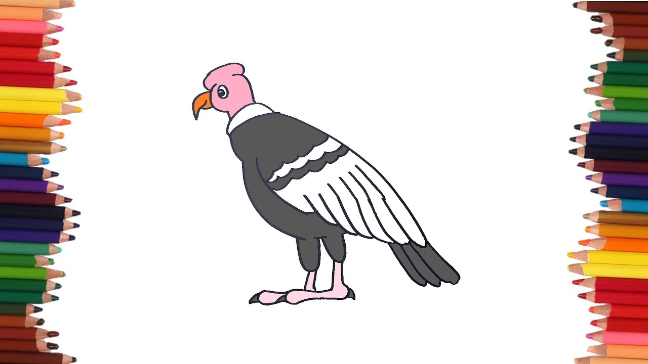 como dibujar un condor | Dibujos faciles