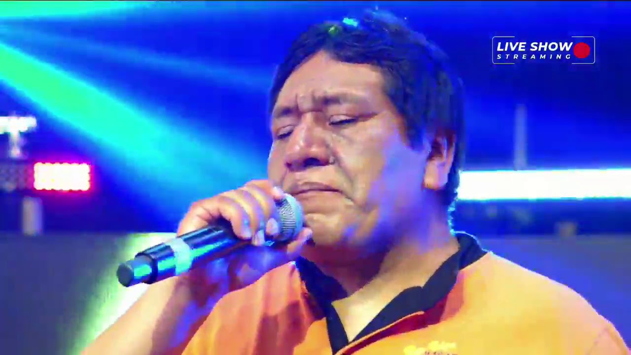 Amadeus -mix en vivo