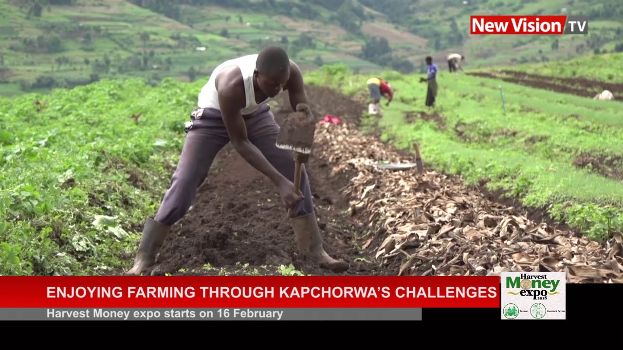Enjoying farming through Kapchorwa's challenges