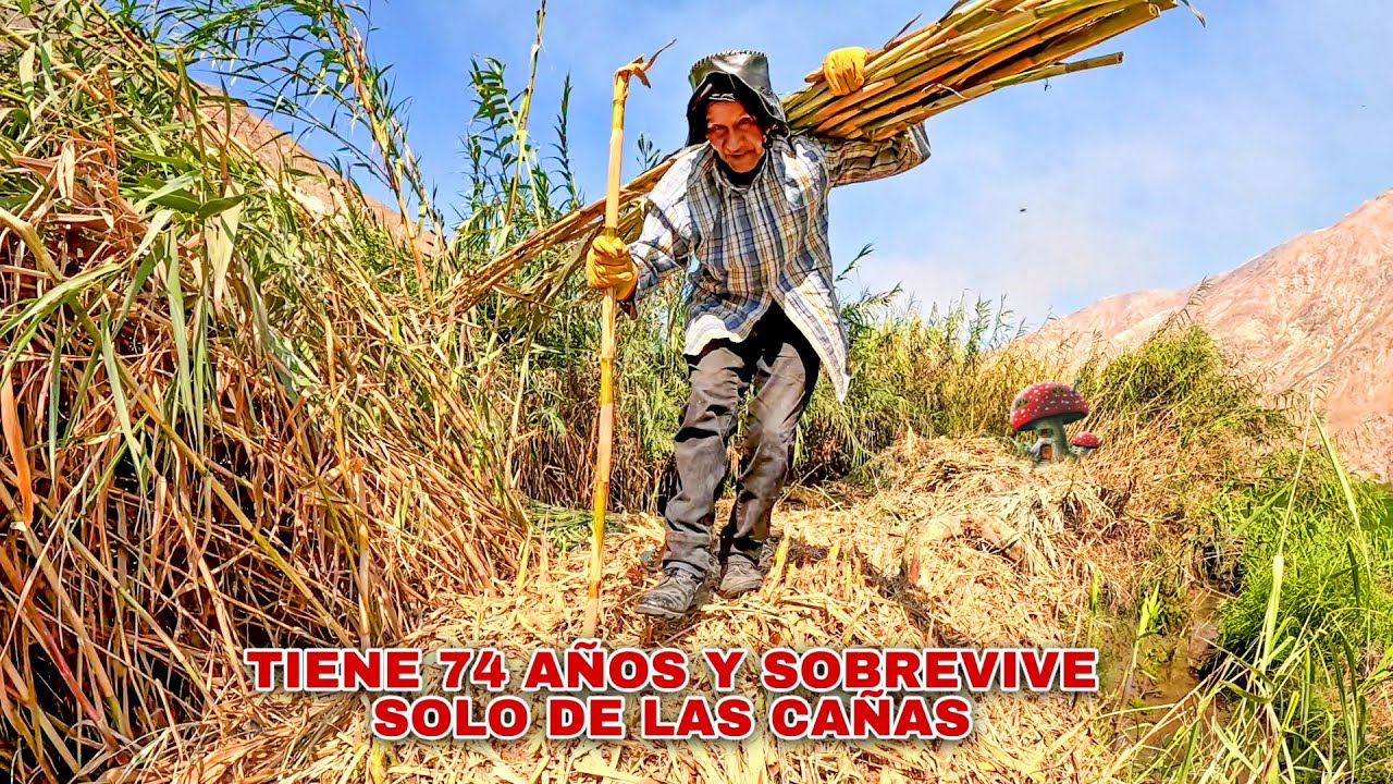 74 AÑOS han pasado y él sigue allí. SOLO EN LOS MONTES , SOBREVIVIENDO únicamente de las CAÑAS