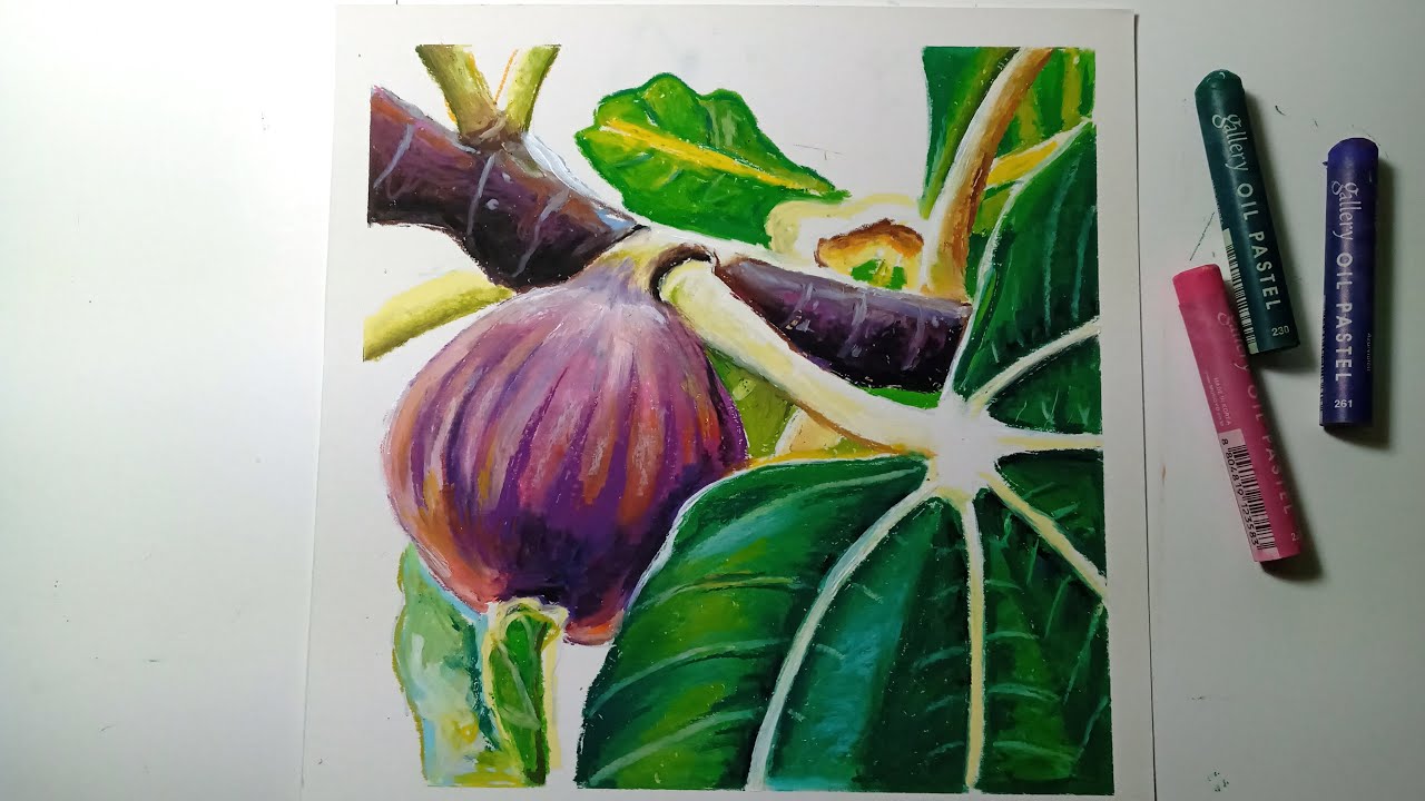 Drawing a Fig With Oil Pastels / Beautiful Art