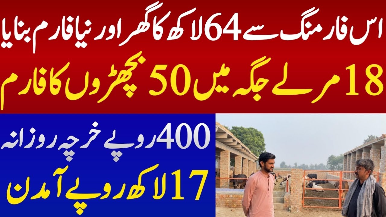 Small bachra farming in pakistan 🇵🇰