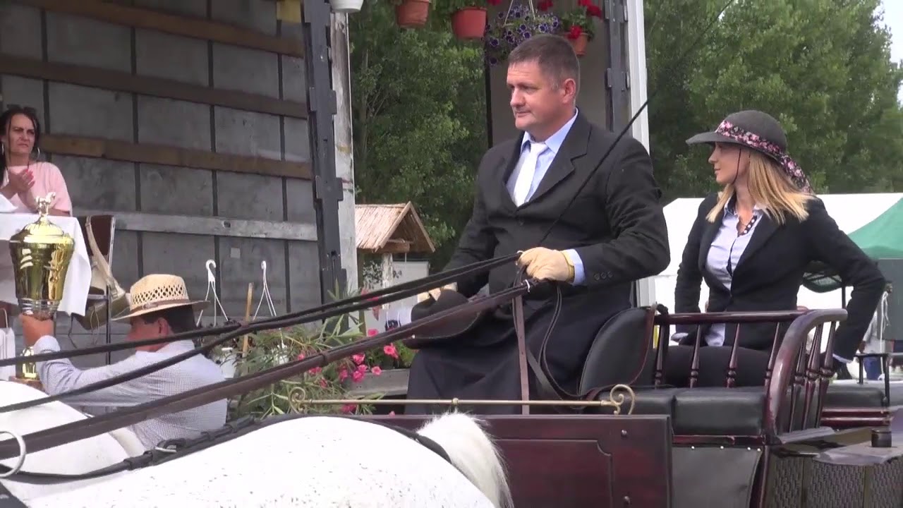 VIII. Pocsaji Fogathajtó Verseny