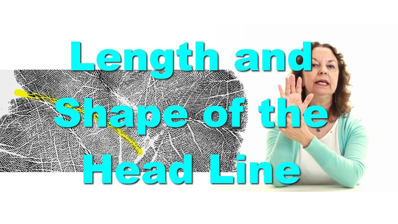 The Length and Shape of the Head Line