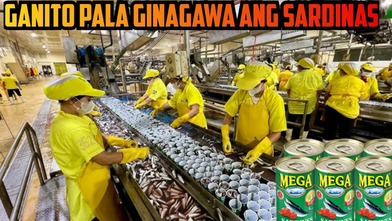 NAKAKABILIB! GANITO PALA GINAGAWA ANG SARDINAS | PROSESO NG PAGGAWA NG SARDINAS