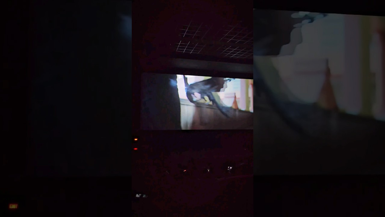Watching Ranbir Kapoot Starer Animal Movie at Cine Cosmo Asansol Sentrum With Gym Buddies