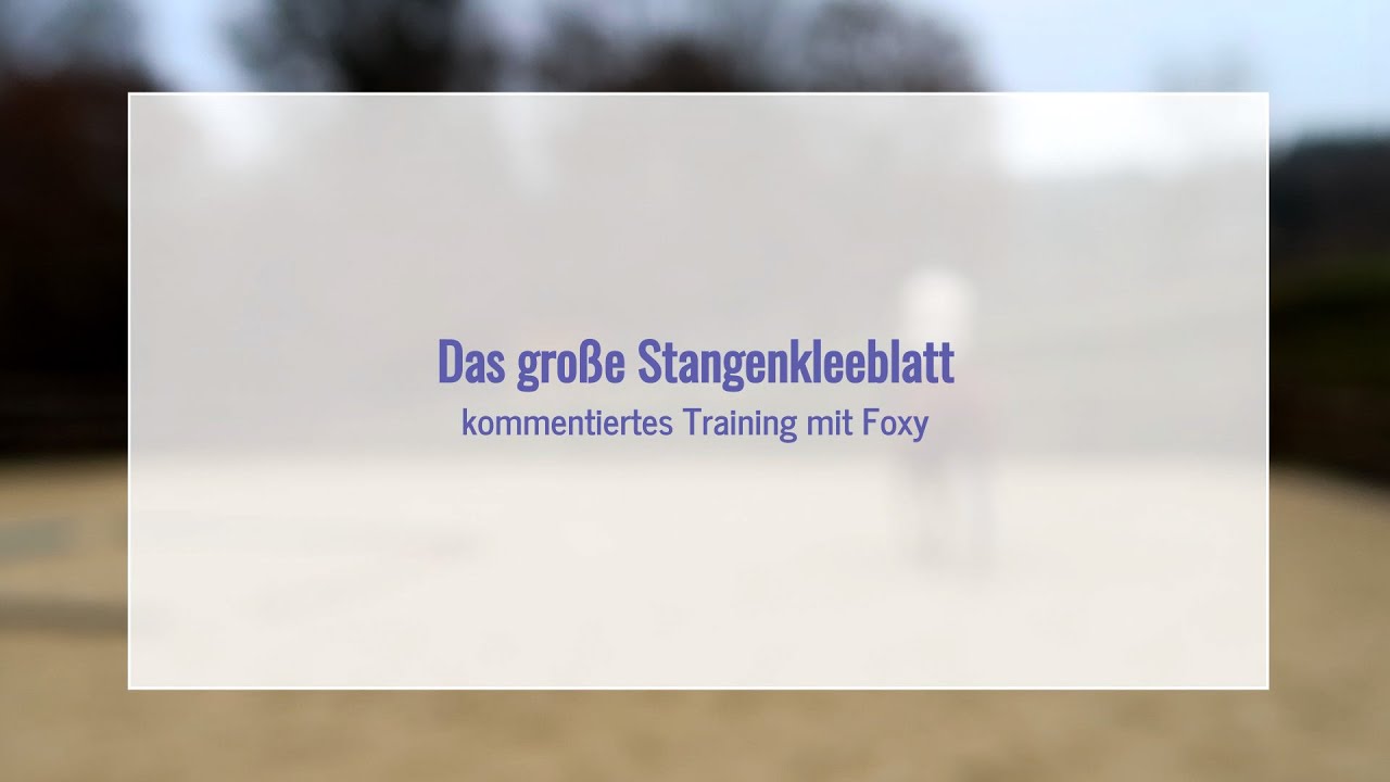 | Das große Stangenkleeblatt | kommentiertes Training mit Foxy |