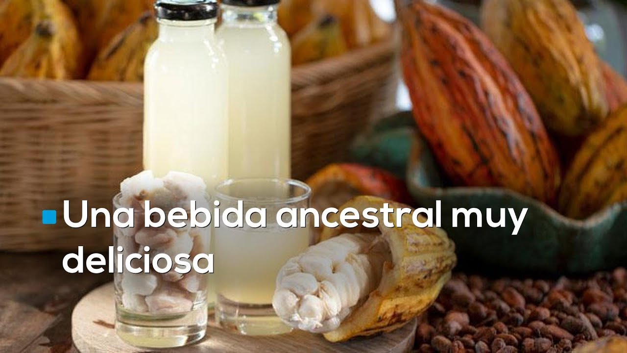 #EmprendiendoAndo | Mucílago de CACAO: La BEBIDA ANCESTRAL sin azúcar que tienes que probar
