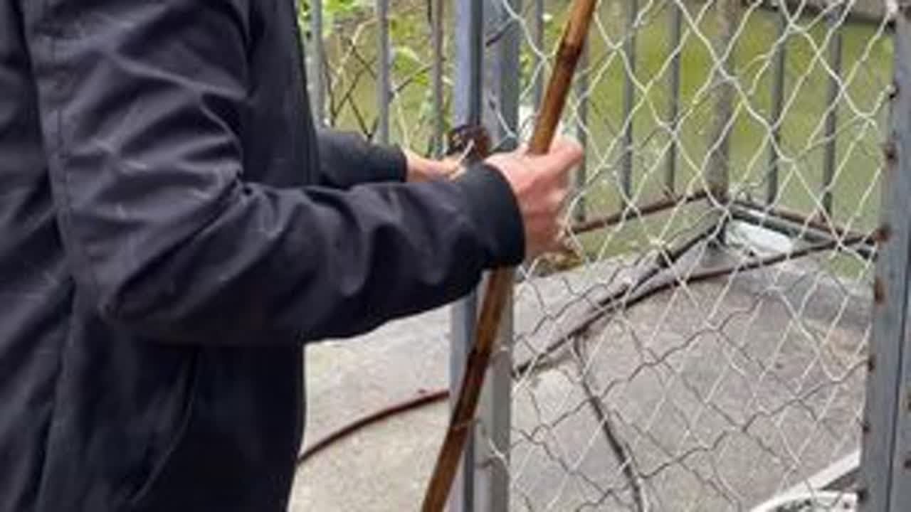 日常生活