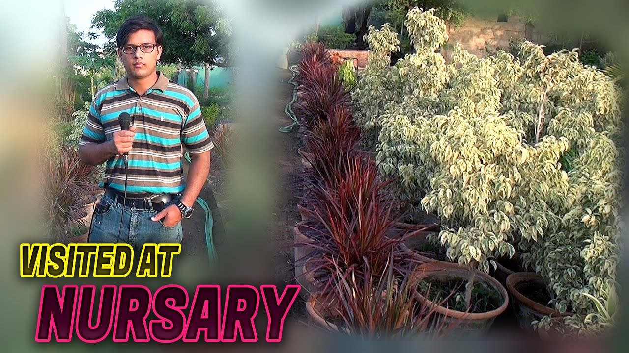 Visited at Ehsanabad nursery (Jamshed Asmi Informative Channel) In Urdu/Hindi