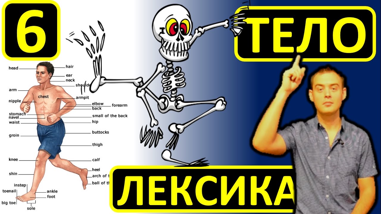 6. Английский (лексика): BODY / ЧАСТИ ТЕЛА (Max Heart)