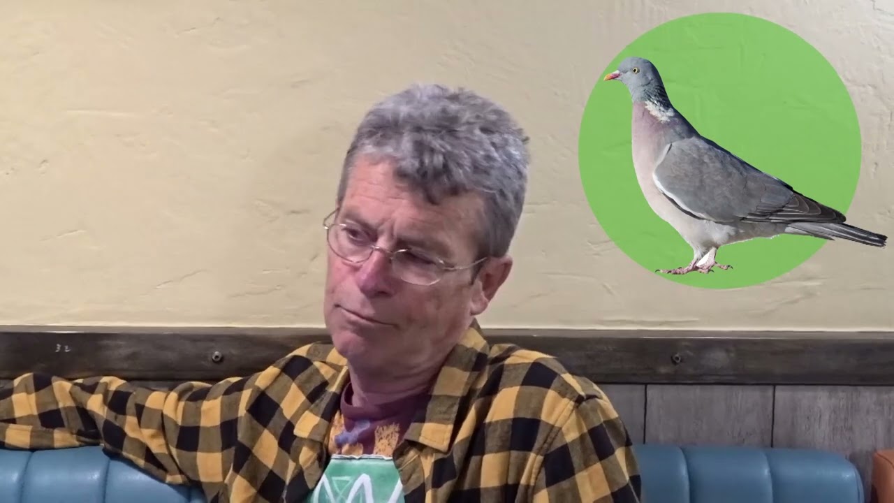 Oiseaux des villes, l’exemple de Paris