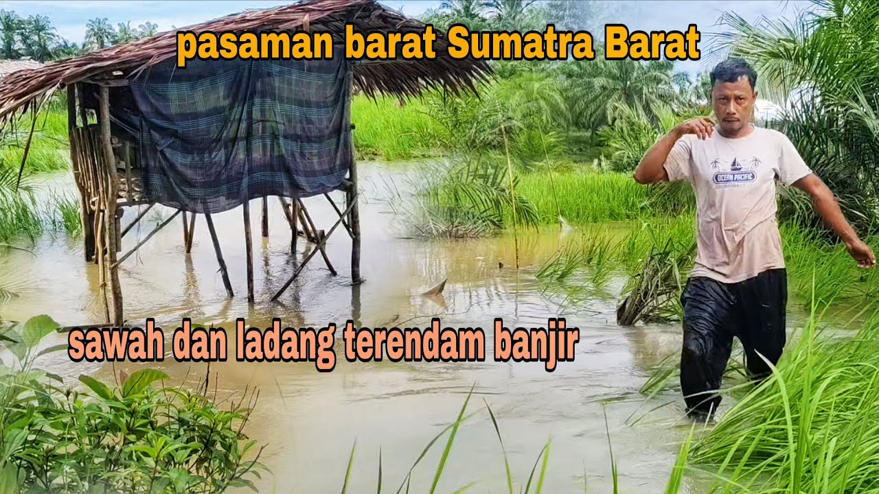 BANJIR LAGI..!! PASANG JARING DI SEKITAR PONDOK LADANG, MASAK MAKAN MALAM