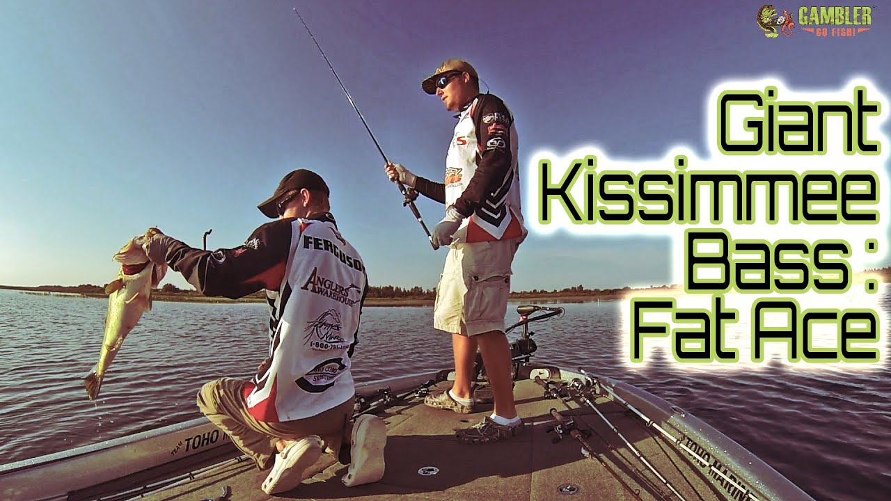 Giant Kissimmee Bass on a Fat Ace