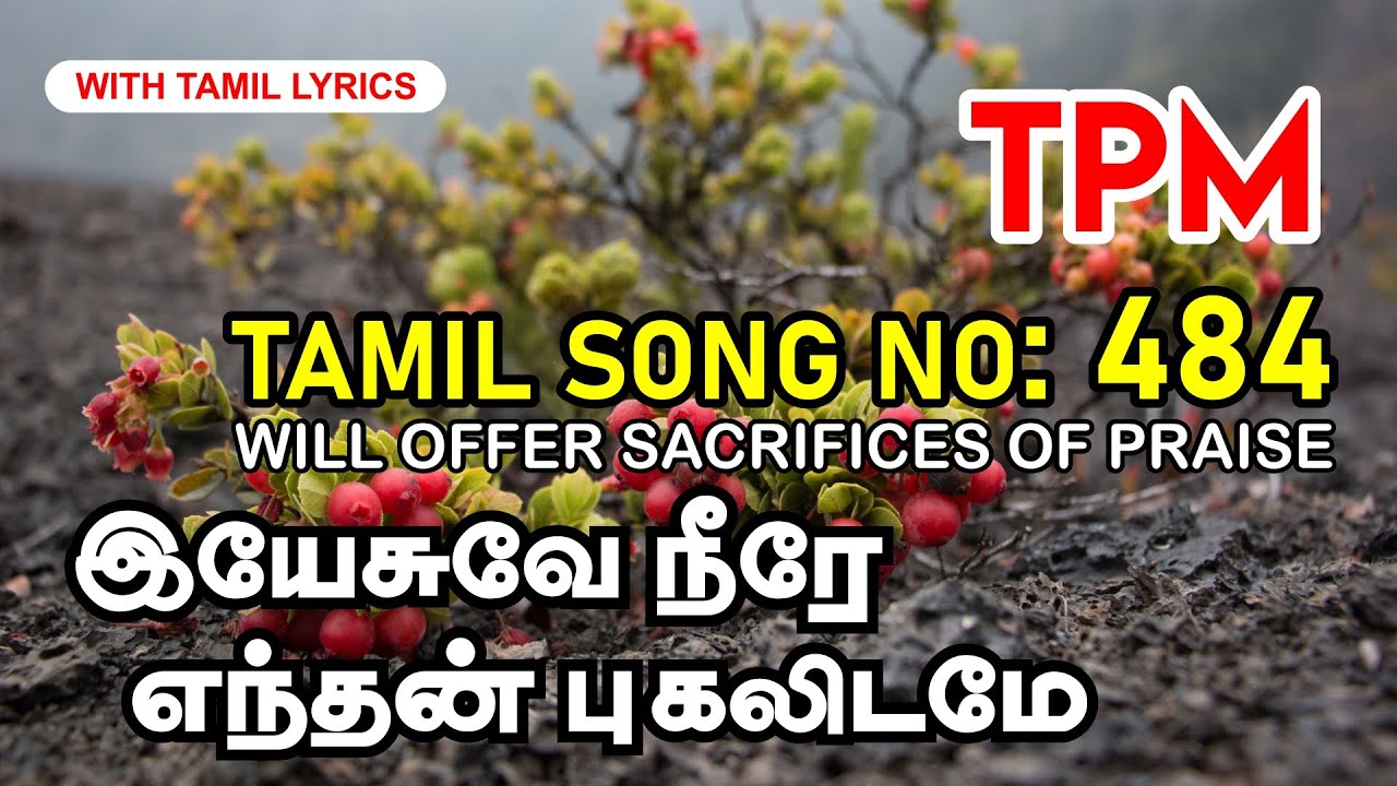 TPM TAMIL SONG 484 | இயேசுவே நீரே எந்தன்‌ புகலிடமே