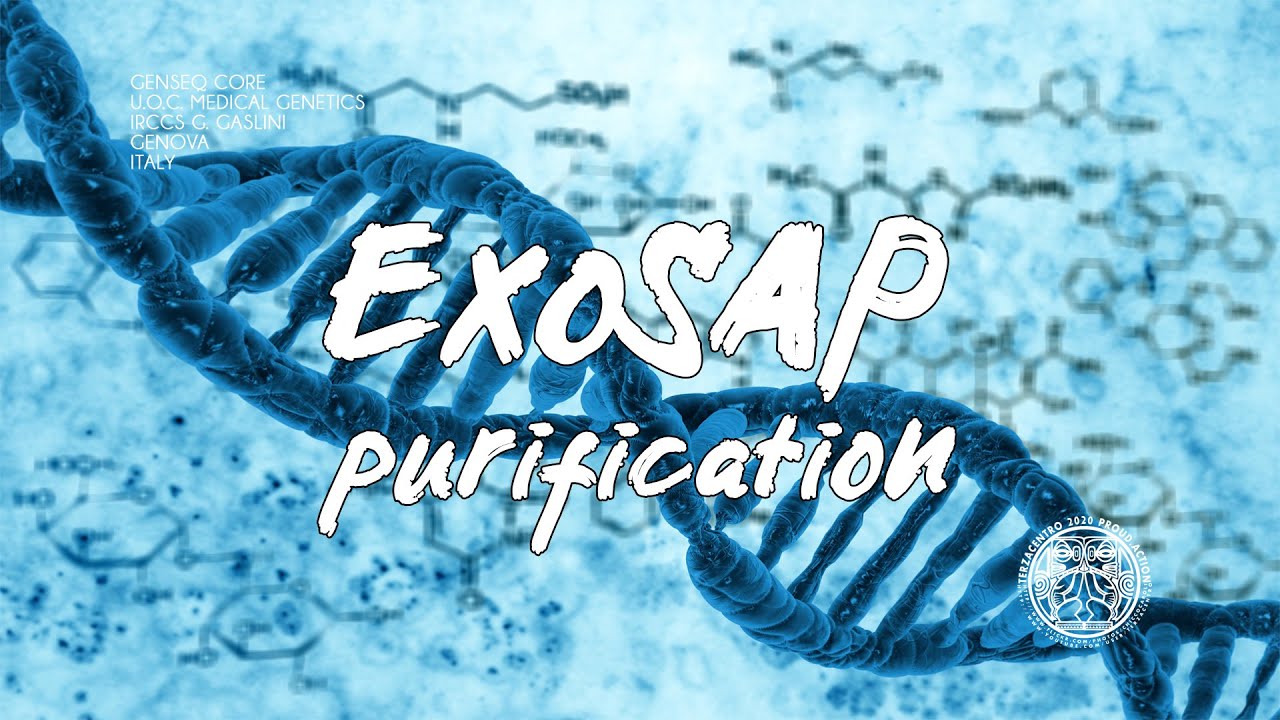 Medical Genetics Lab. Genseq Core. ExoSAP purification