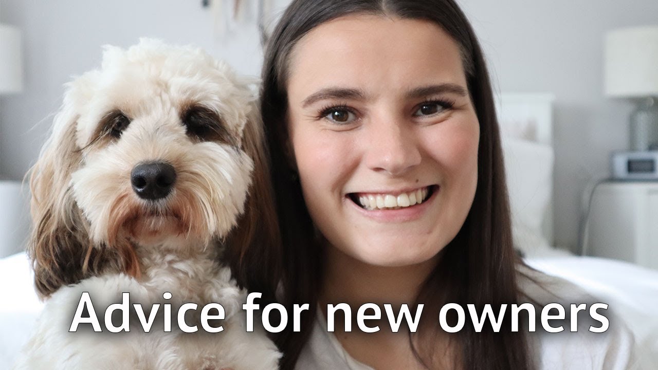 WHAT TO KNOW BEFORE GETTING A PUPPY: Advice for first time dog owners.