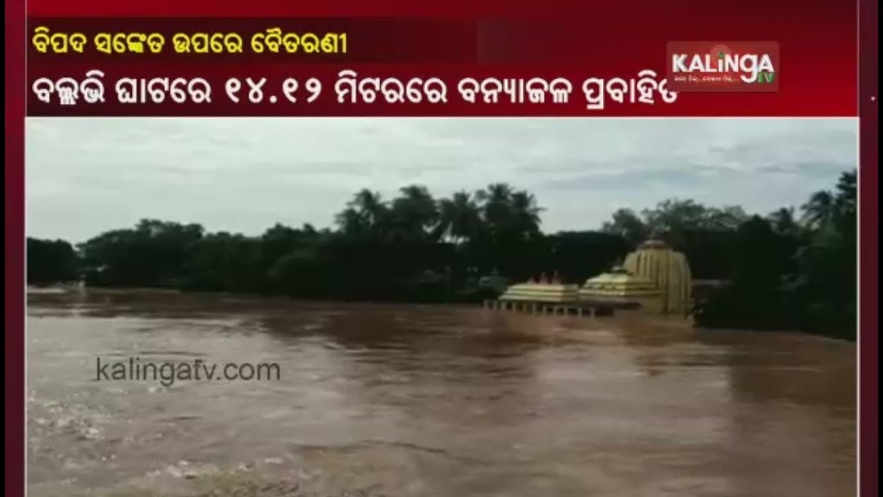 Baitarani River Flows Above Danger Mark, Water-logging In Adjoining Areas || Kalinga TV