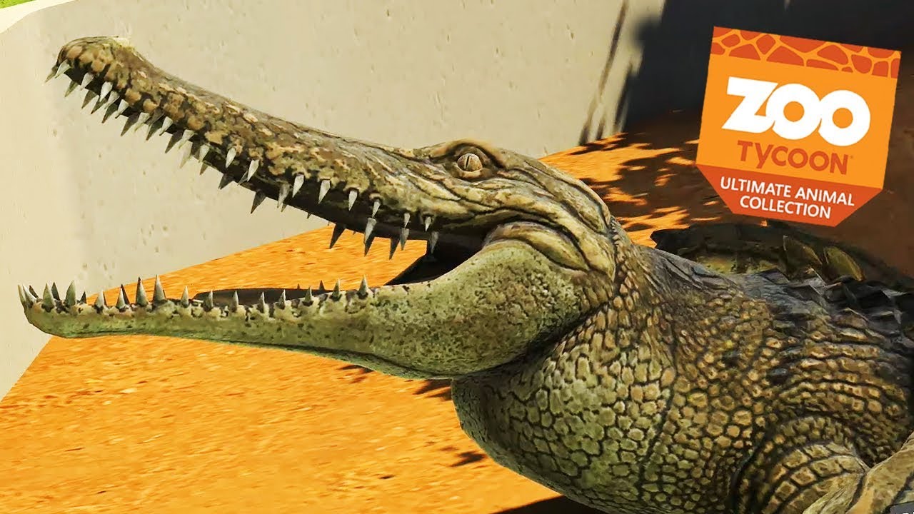 ЧЕЛЮСТИ КРОКОДИЛА | Zoo Tycoon: Полная коллекция животных №13