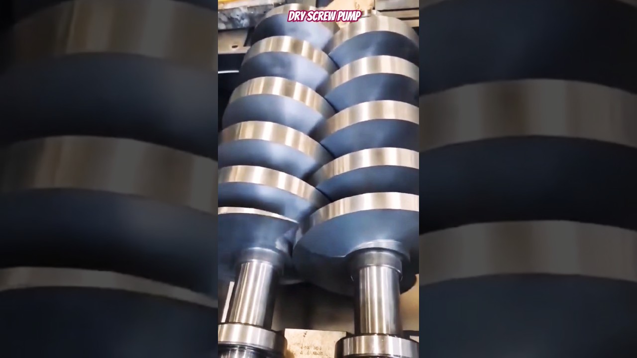 Dry Screw Pump #mechanical #compressor #screw #pump #shorts