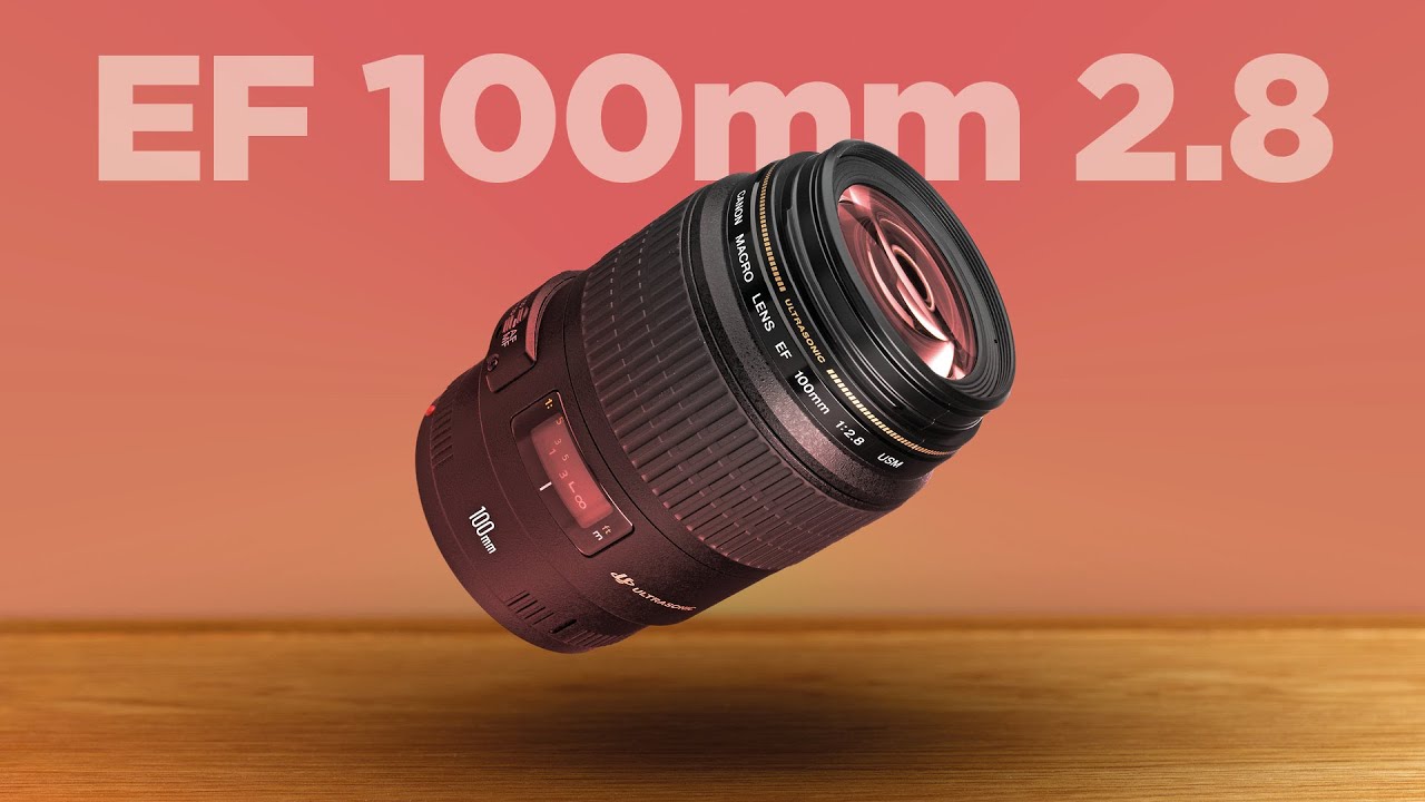 The Canon 100mm F/2.8 USM Macro Lens Review