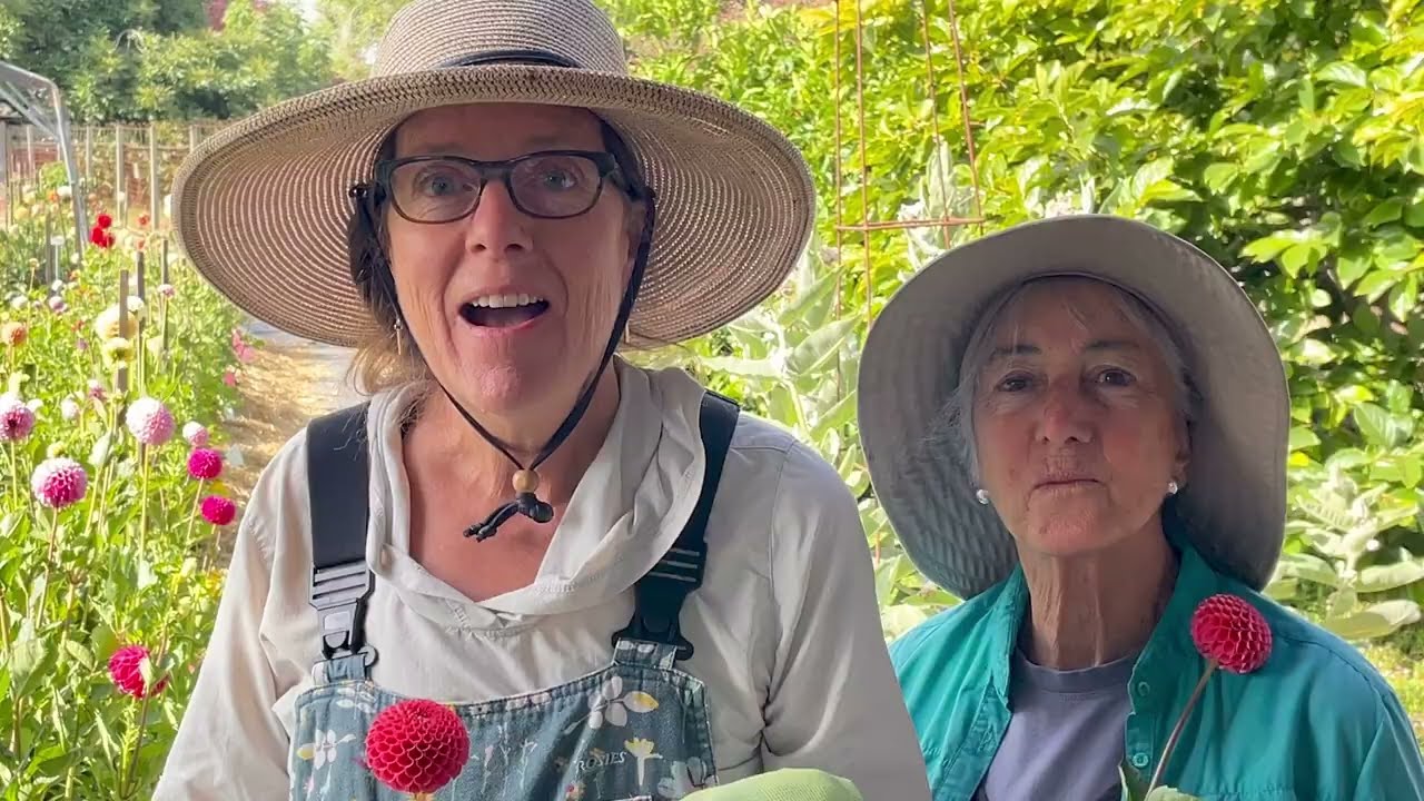 200. Walking through the FIRST YEAR seedling patch with Jan, July 2023.