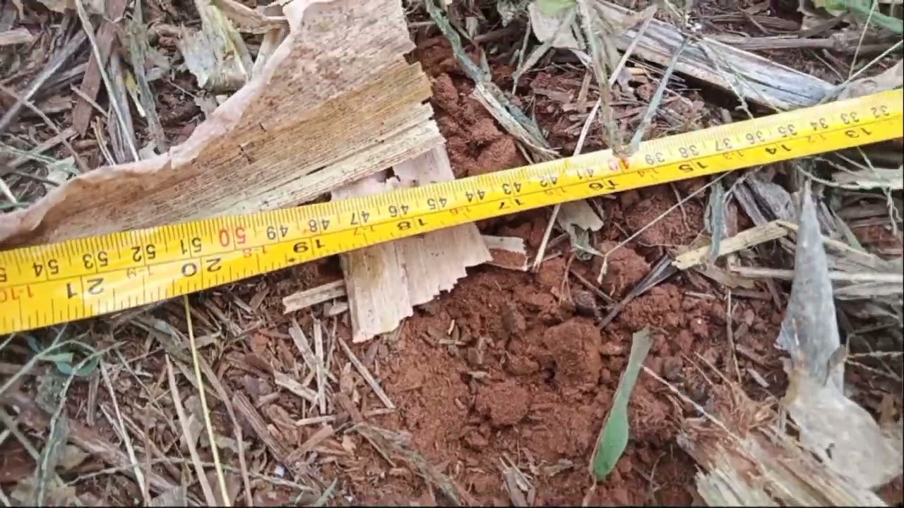 como tirar diferença de espaçamento de linhas da plantadeira deslocando implemento no GPS.