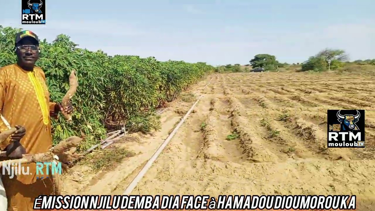 3 partir émission njilu demba dia face à hamadou Dioumorou ka 