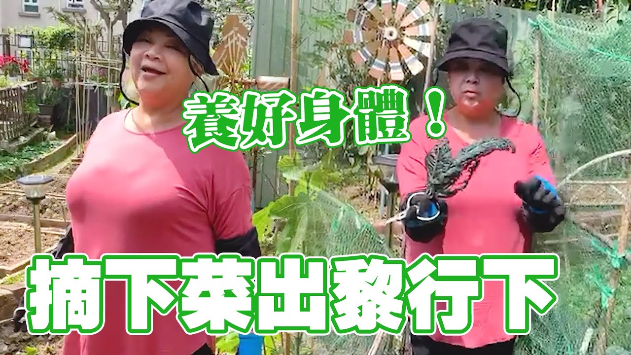 肥媽花園 | 摘下菜都出黎行下 養好身體