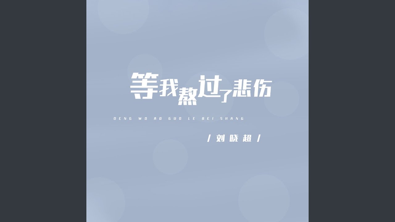 等我熬过了伤悲 (Dj默涵版)