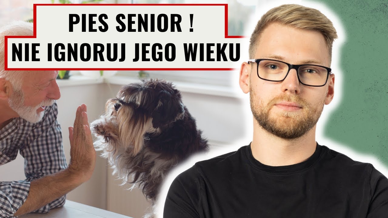 Żywienie psa seniora - Jak zrobić to prawidłowo ?