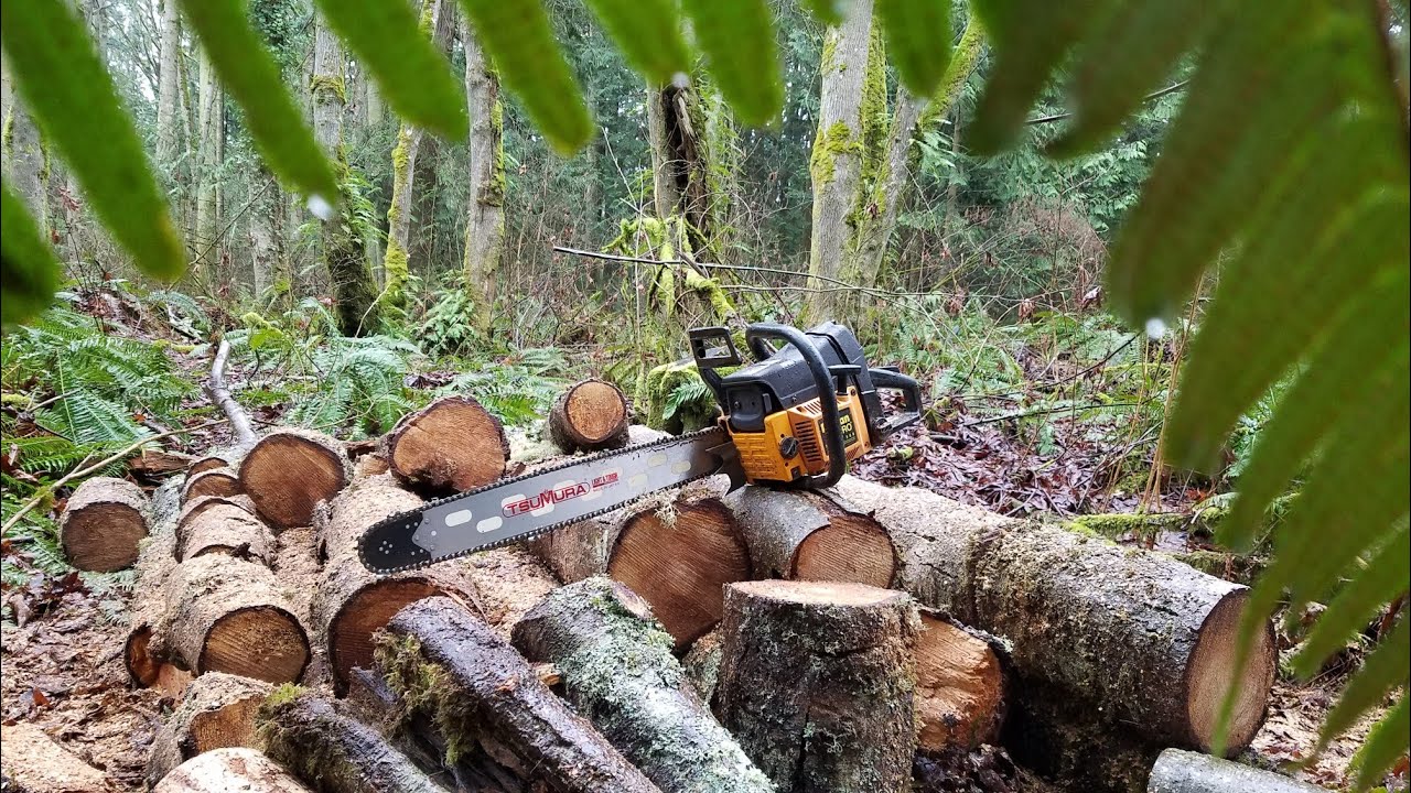 Poulan Pro Super 380 / Poulan 3750 - Stihl 039 / 390 piston swap