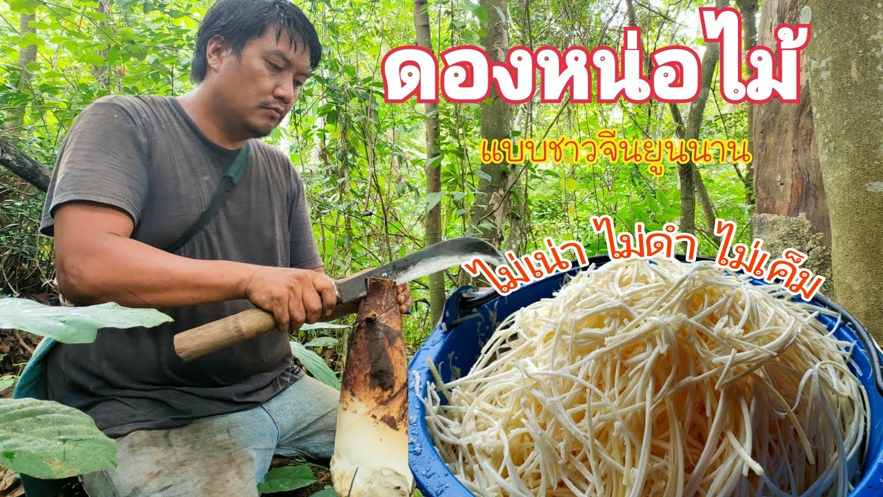 ดองหน่อไม้ ไม่ใส่เกลือ แต่เปรี้ยวสุดๆ
