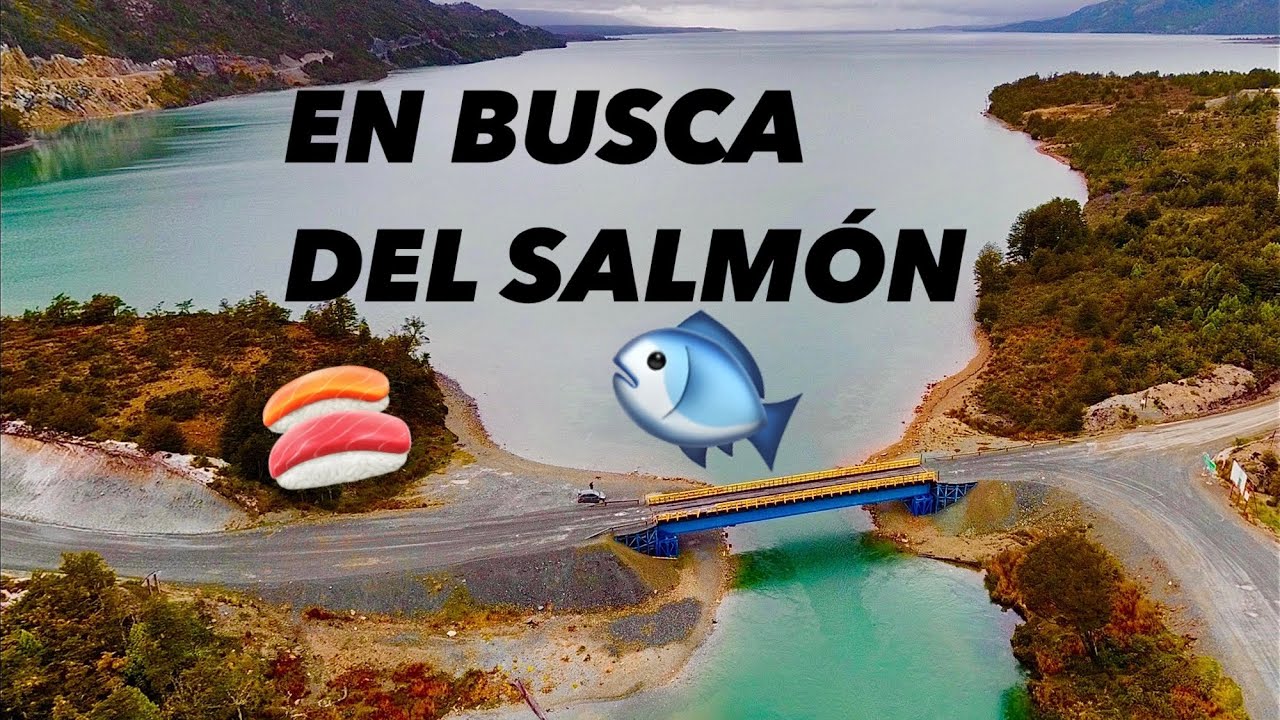 VUELVO AL RÍO AZOPARDO A PROBAR SUERTE - Pesca de Salmones en Tierra del Fuego