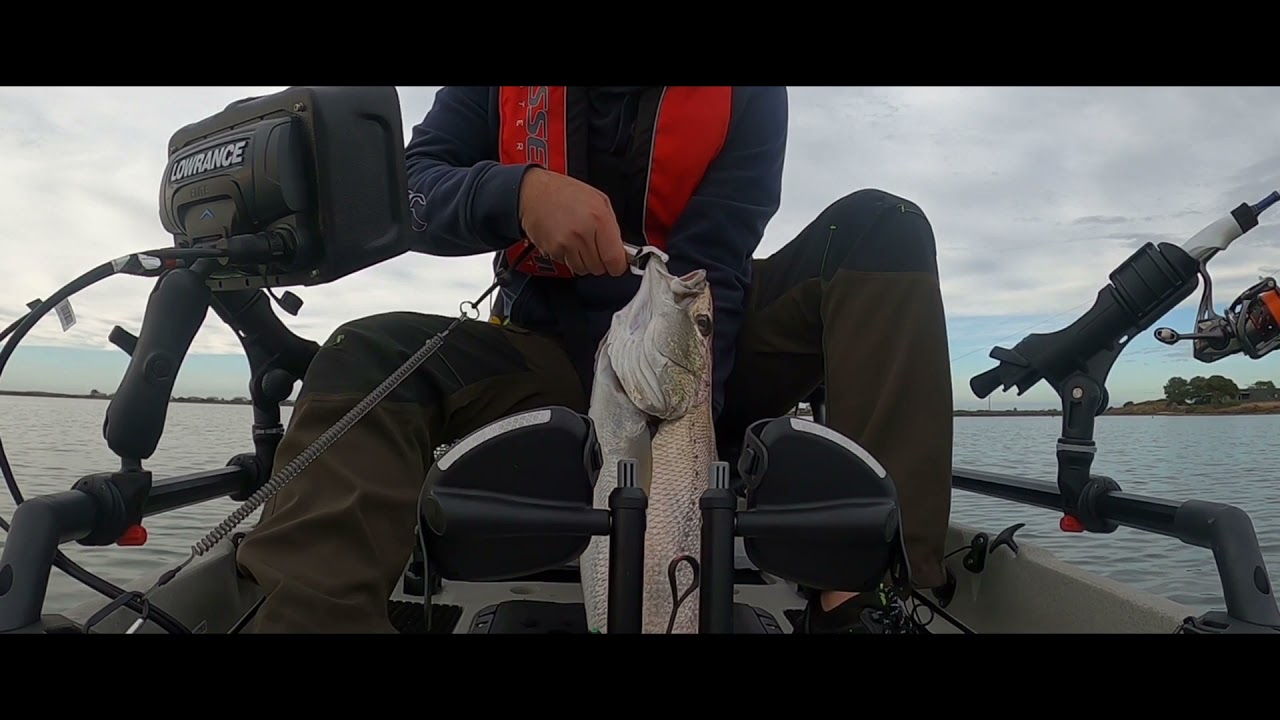 Goolwa Mulloway 2021