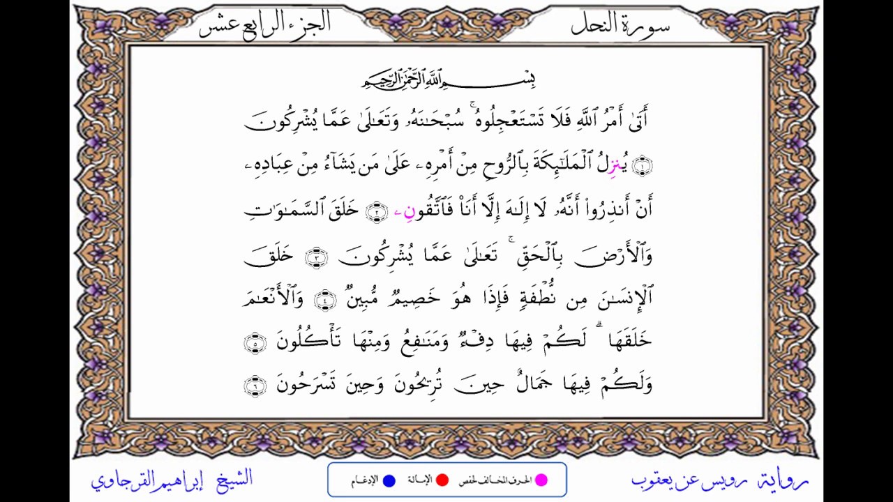 سورة النحل من المصحف المرتل المصور برواية رويس عن يعقوب بصوت الشيخ إبراهيم القرجاوي