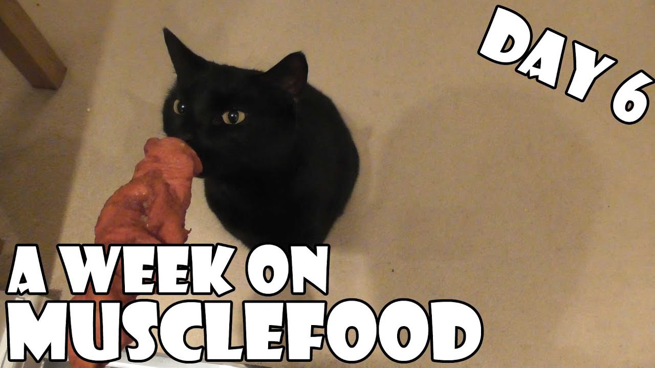 A Week On Musclefood DAY 6