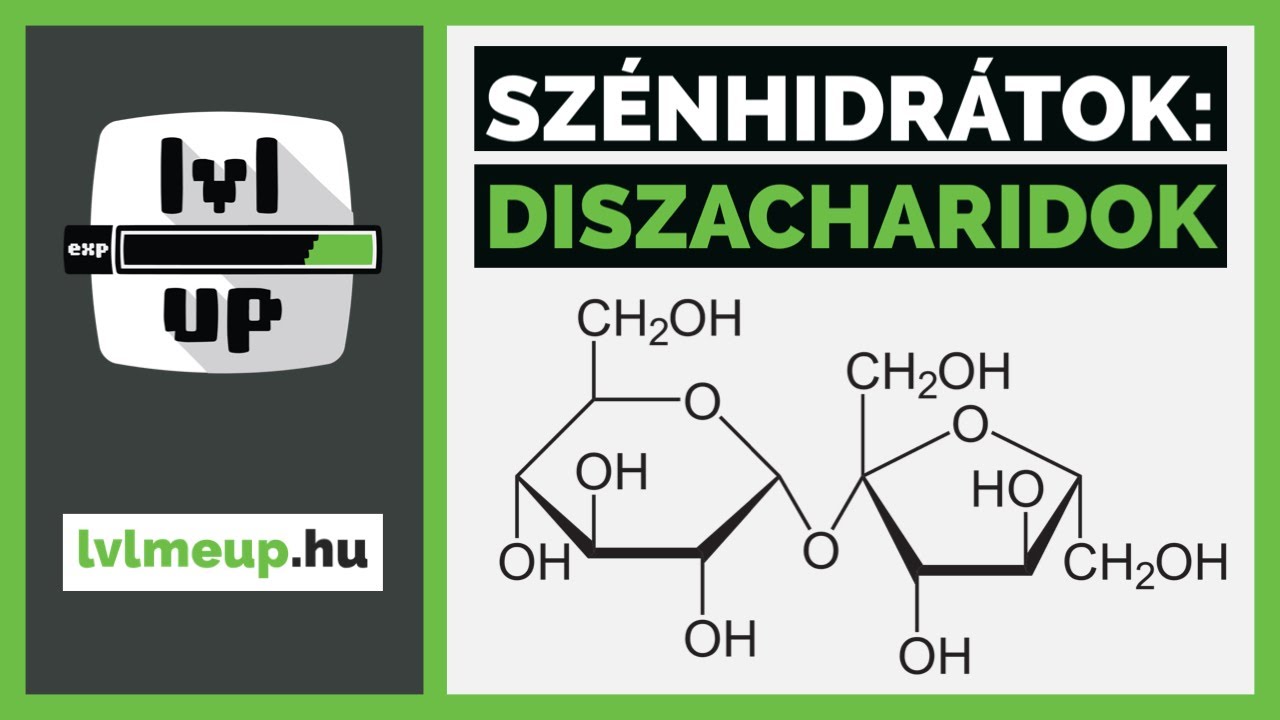 Szénhidrátok - Diszacharidok | lvlmeup.hu | Emelt kémia érettségi | Szerves kémia