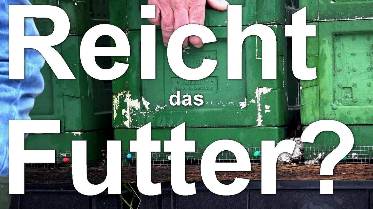 Bienen: Reicht das Futter? Kippkontrolle im Winter bei Mini Plus und Segeberger Beute