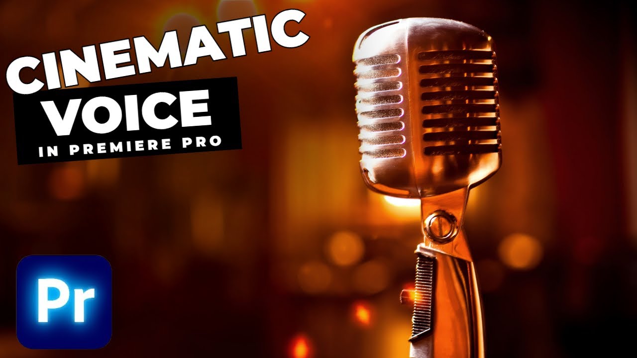 How To Make Your Voice SOUND Professional In Premiere Pro