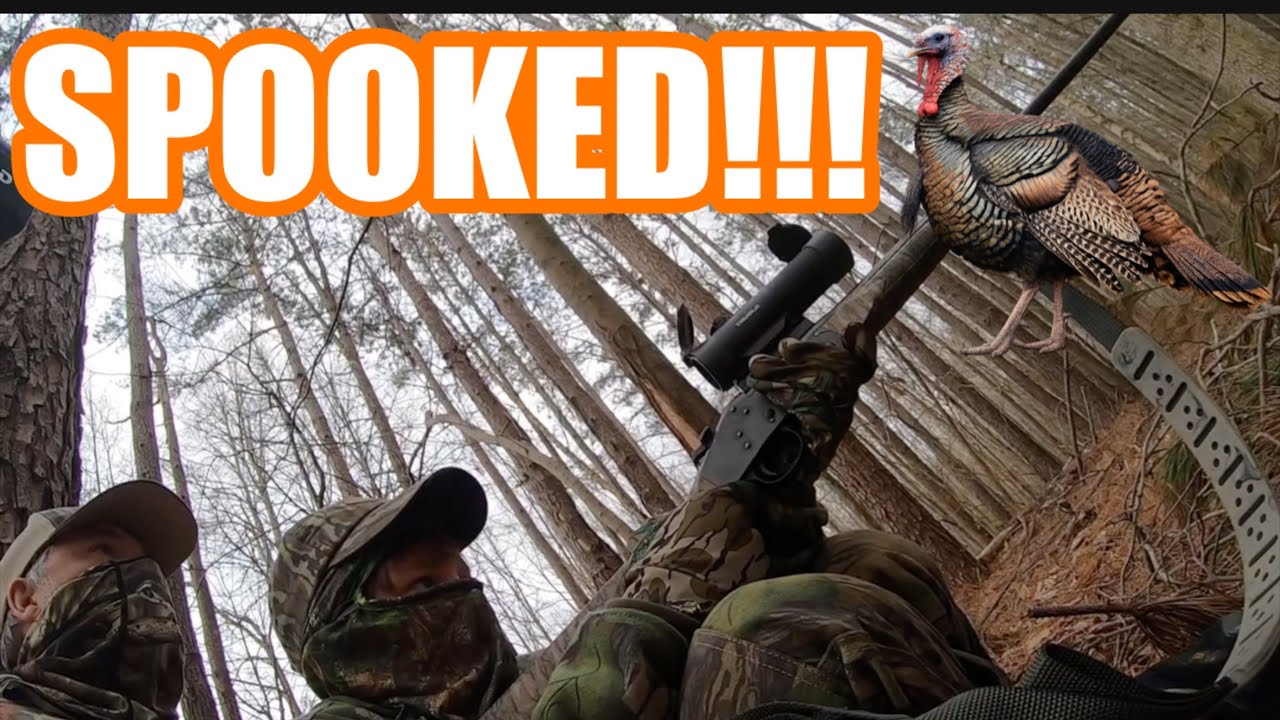 Spookin’ a Fired Up Longbeard